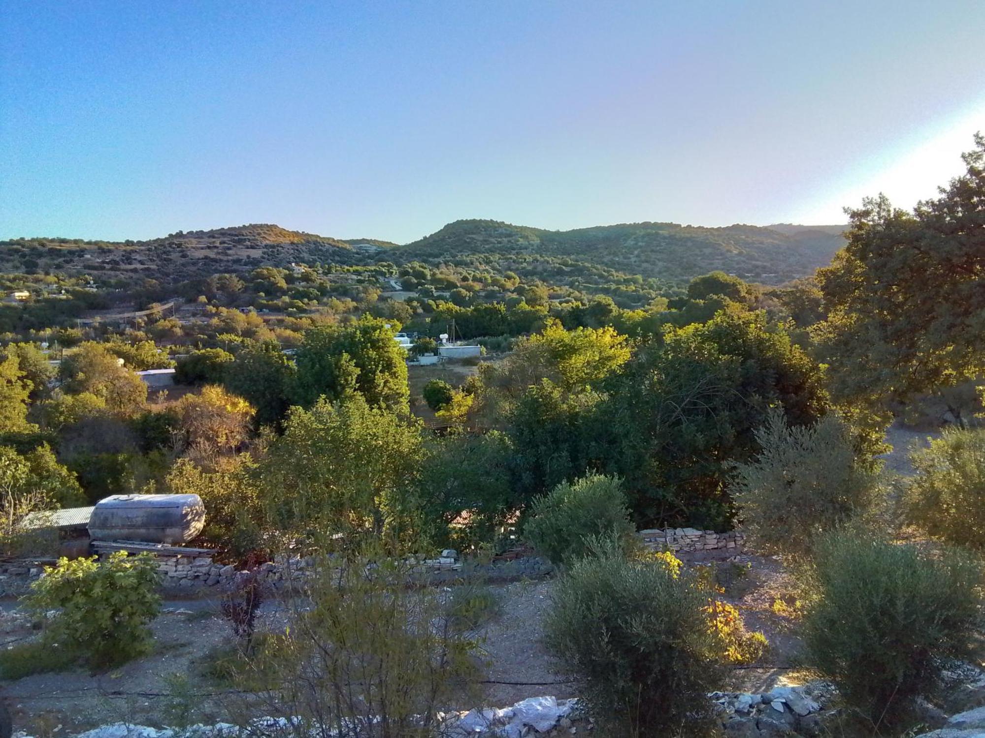Despina Country Retreat Homestay *